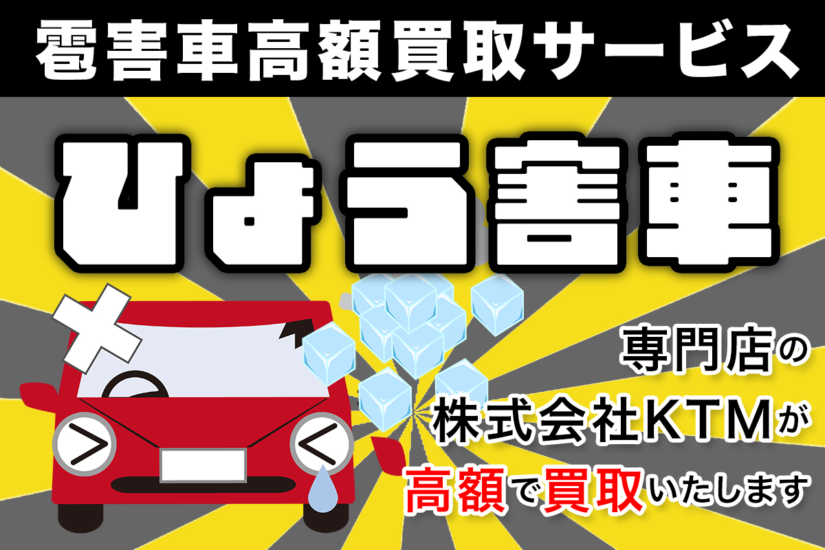 雹害車高額買取サービス