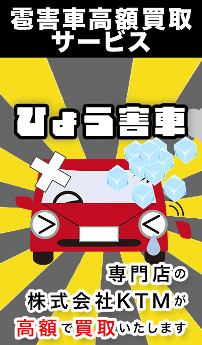 雹害車高額買取サービス